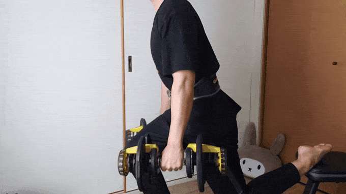 ゴールドジムのトレーニングベルトを着用してスクワットをしているGIF